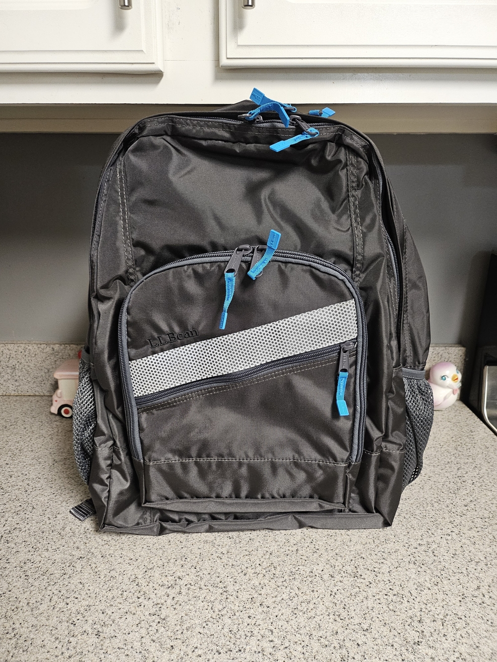 L.L. Bean Men's Black Backpack with Blue Accents